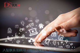 如何甄选优质的软件外包服务商 一份全面的决策指南